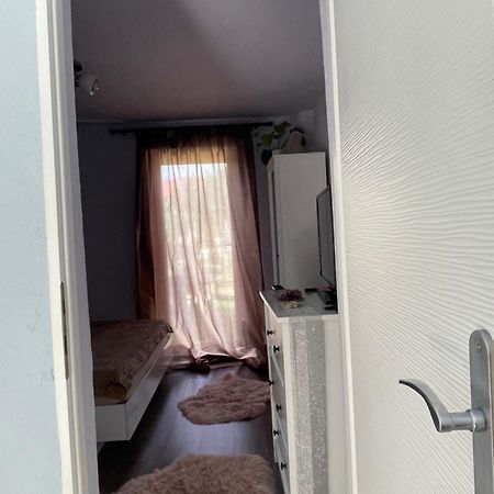 Garsoniera La Casa Διαμέρισμα Τιμισοάρα Εξωτερικό φωτογραφία